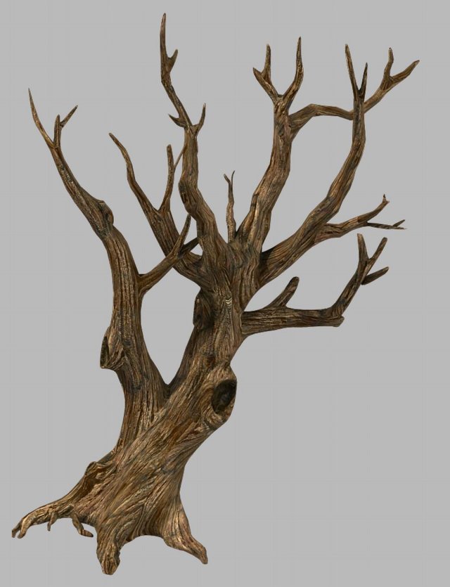 brutal tribe - dry tree 03 3D Modell .c4d .max .obj .3ds .fbx .stl .blend