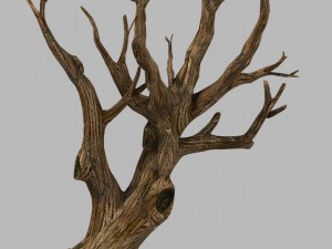 brutal tribe - dry tree 03 Model 3D