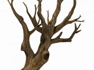 brutal tribe - dry tree 03 3D Model