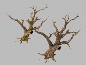 brutal tribes - dead trees 04 3D Model
