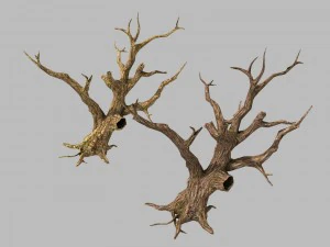 брутальні племена - мертві дерева 04 3D Модель