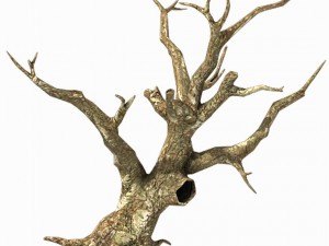 brutal tribes - dead trees 04 3D-Modell