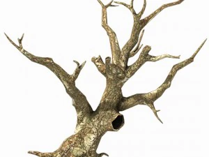 brutal tribes - dead trees 04 3D Model