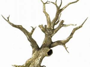 brutal tribes - dead trees 04 3D Model