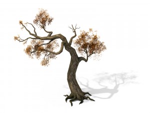 brutal tribes - dead trees 05 3D Model