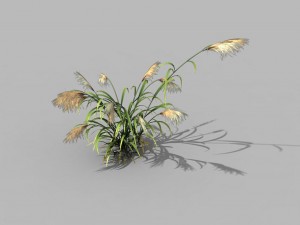 brutal tribe - reed Model 3D