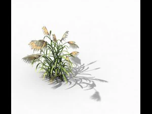 brutal tribe - reed 3D Model
