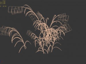 brutal tribe - reed Modèle 3D