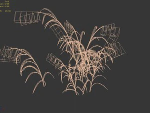 brutal tribe - reed 3D Model