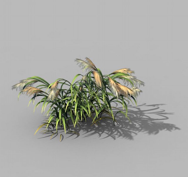 brutal tribe - reed 02 3D Model .c4d .max .obj .3ds .fbx .stl .blend 