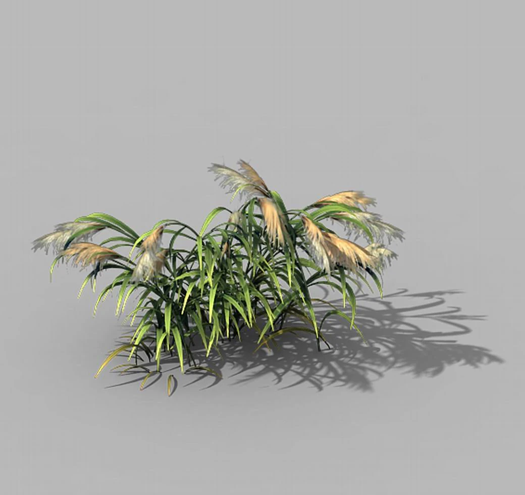 brutal tribe - reed 02 3D Model .c4d .max .obj .3ds .fbx .stl .blend 