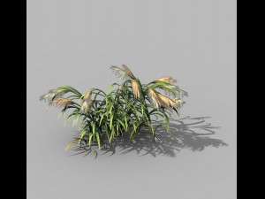 brutal tribe - reed 02 Modelo 3D