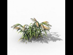 brutal tribe - reed 02 3D Model