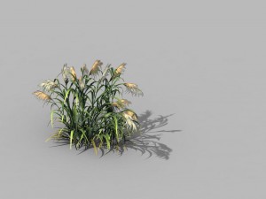 brutal tribe - reed 02 3D Model