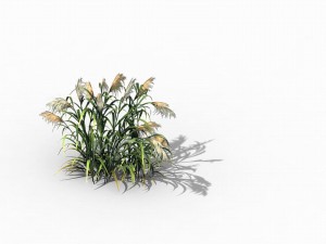 brutal tribe - reed 02 3D Model