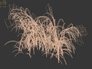 brutal tribe - reed 02 3D Model