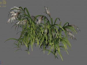 brutal tribe - reed 02 3D Model