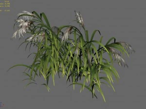 brutal tribe - reed 02 3D Model