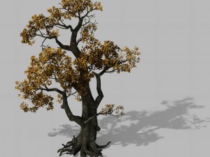 brutal tribe - tree 16 Model 3D
