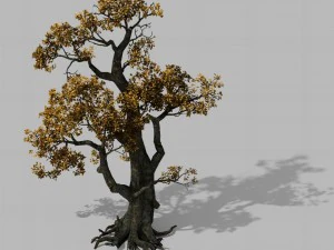 брутальне плем'я - дерево 16 3D Модель