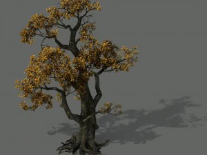 brutal tribe - tree 16 3D Model
