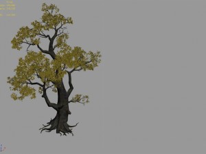 brutal tribe - tree 16 Model 3D