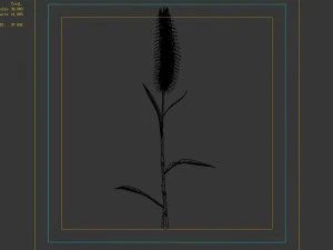 weed plants - dog tail grass 01 3D Model