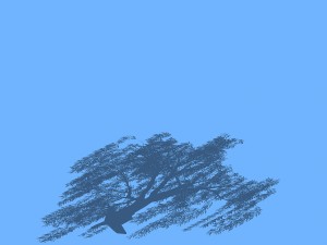 plant - willow 1-1 Modello 3D
