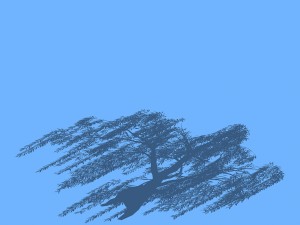 plant - willow 1-2 3D Model