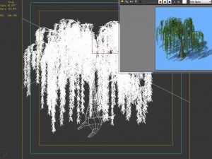 plant - willow 1-2 3D Model