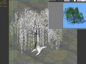plant - willow 1-2 3D Model