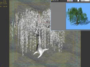 plant - willow 1-2 3D Model