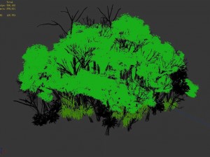 plant forest - birch grove 01 Modelo 3D