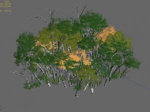 plant forest - birch grove 01 3D Model