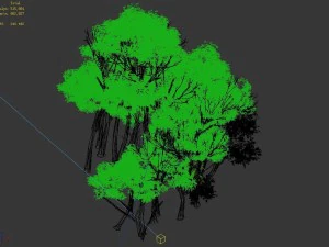 plant forest - birch grove 02 3D Model