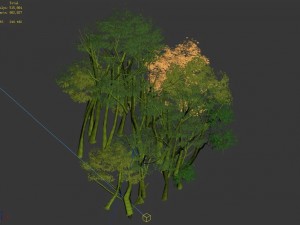 plant forest - birch grove 02 Model 3D