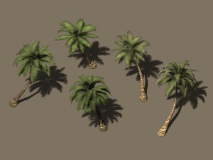 plant - coconut tree 271 3D Model