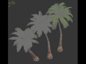 plant - coconut tree 271 3D Model