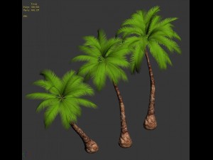 plant - coconut tree 271 3D Model