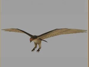 low poly 3d monster - hawk 3D Model