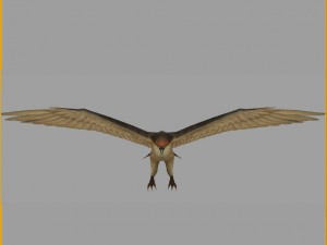 low poly 3d monster - hawk 3D 모델