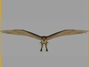 low poly 3d monster - hawk 3D Model