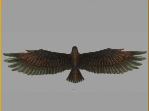 low poly 3d monster - hawk 3D 모델