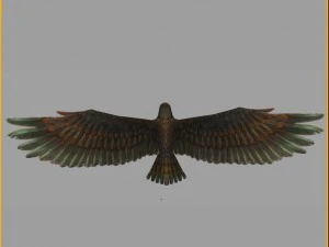 low poly 3d monster - hawk 3D Model