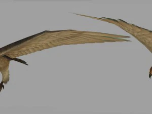 low poly 3d monster - hawk 3D Model