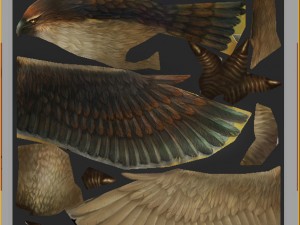 low poly 3d monster - hawk 3D 모델