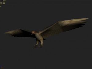 low poly 3d monster - hawk 3D 모델