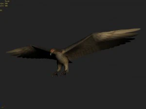 low poly 3d monster - hawk 3D Model