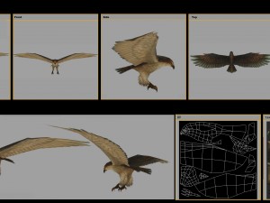 low poly 3d monster - hawk 3D 모델