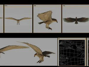 low poly 3d monster - hawk 3D Model